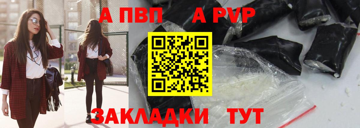Альфа ПВП СК Кузнецк