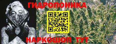 таблы Будённовск